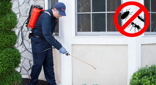Karatay Gümüşkurt İlaçlama böcek ilaçlama ve haşere kontrolü — ilaclama-tr.com
